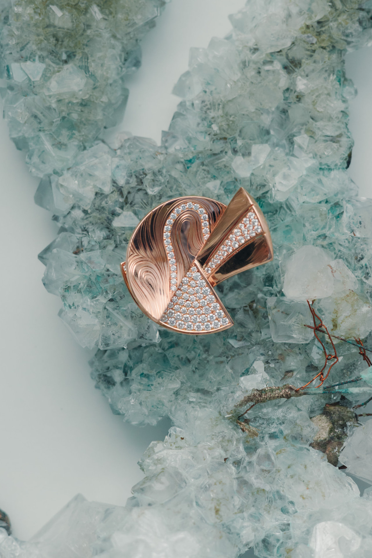 Atelier Wittmann Coralis — campagnebeeld
