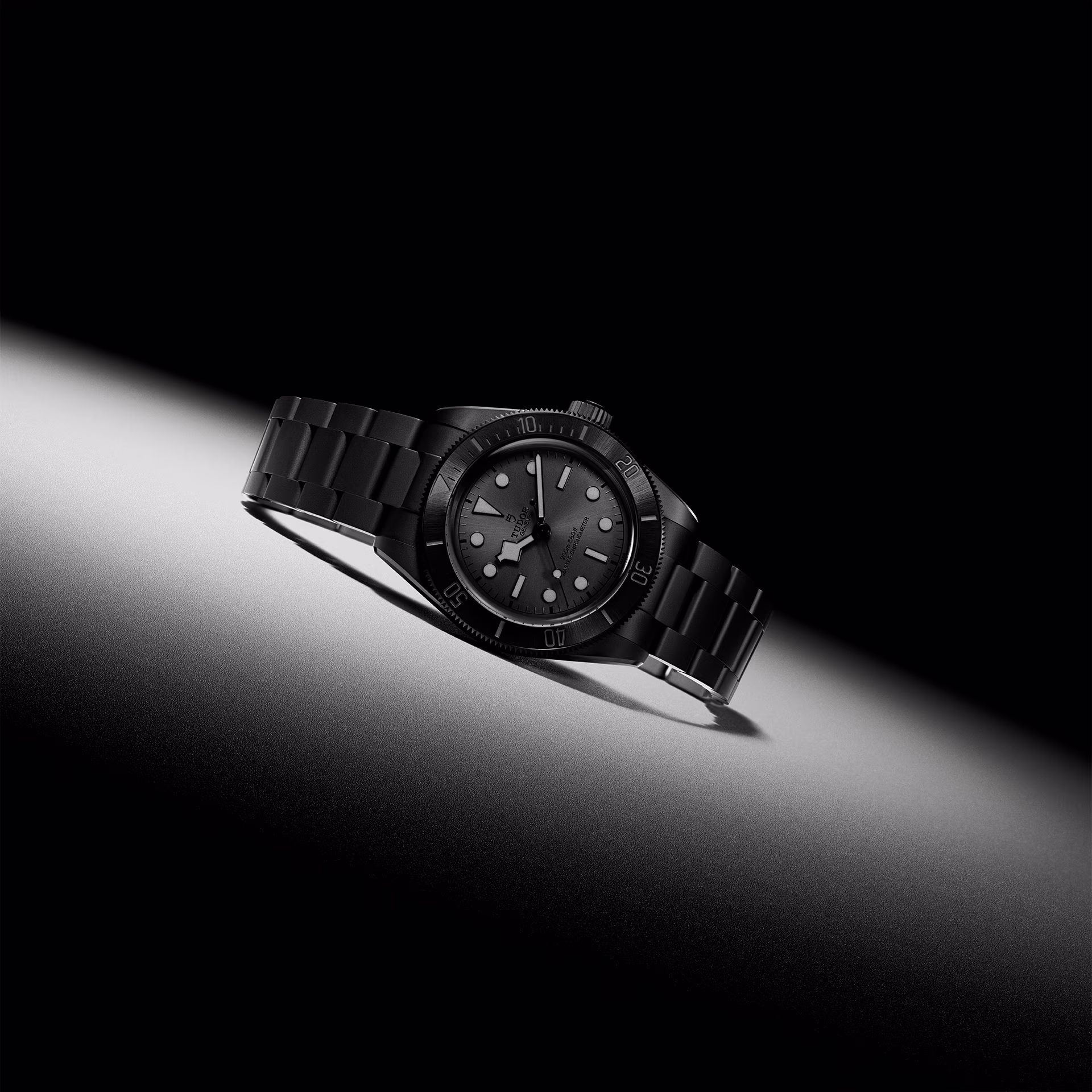 Tudor Black Bay