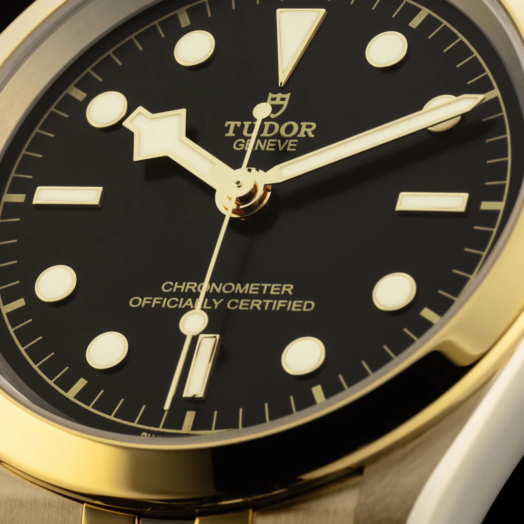 Tudor Black Bay 41 S&G M79683-0001 — Image 4