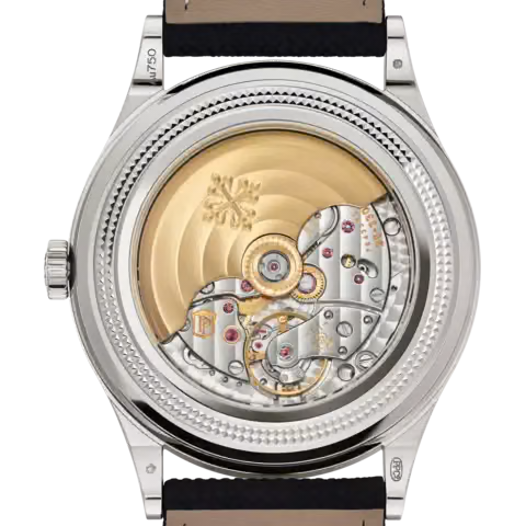 Patek Philippe Patek Philippe reinterprets the perpetual calendar with retrograde date hand 6159G-001 — Image 3