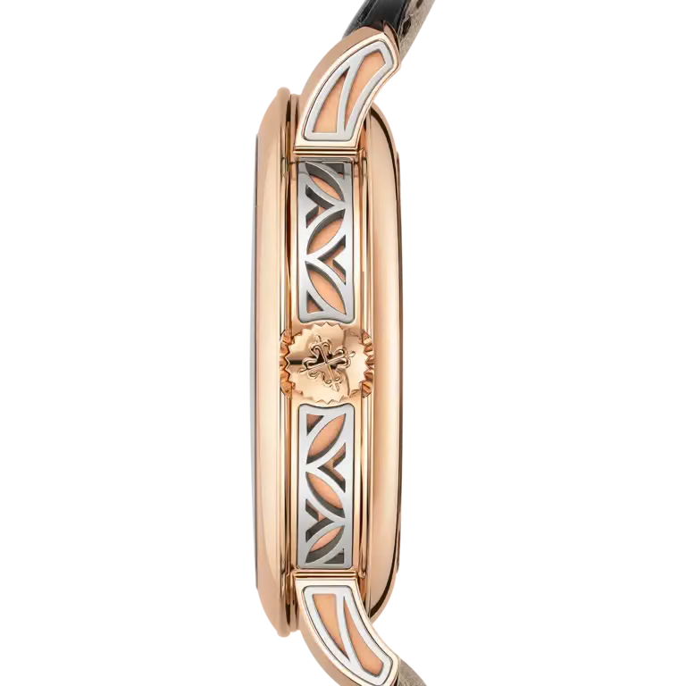 Patek Philippe Minute Repeater. Tourbillon 5303R-001 — Image 4